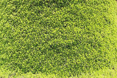 《地平线：零之曙光重制版》上架Steam 国区售价345元